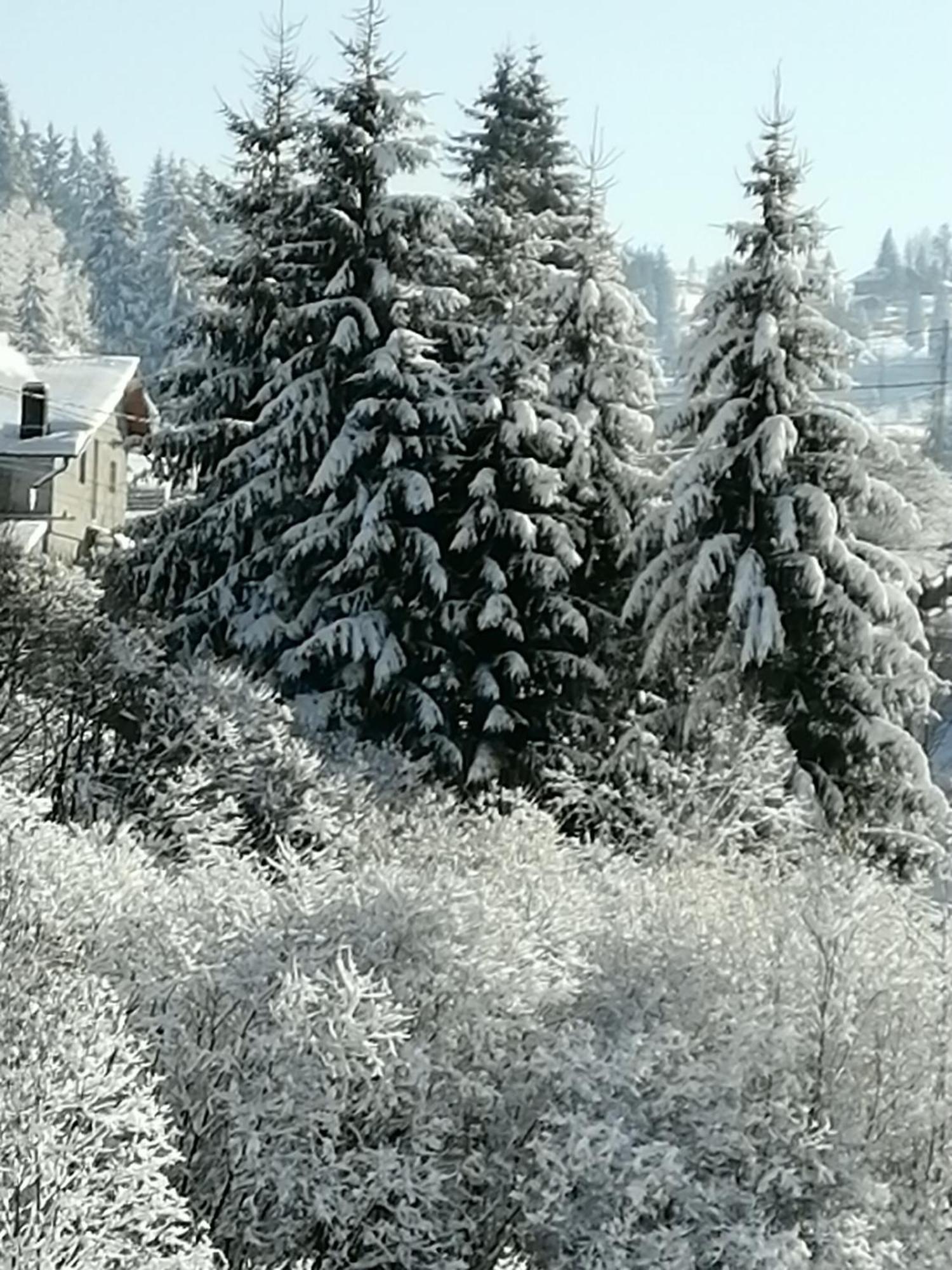 Pensiunea Tora Vatra Dornei Exteriör bild