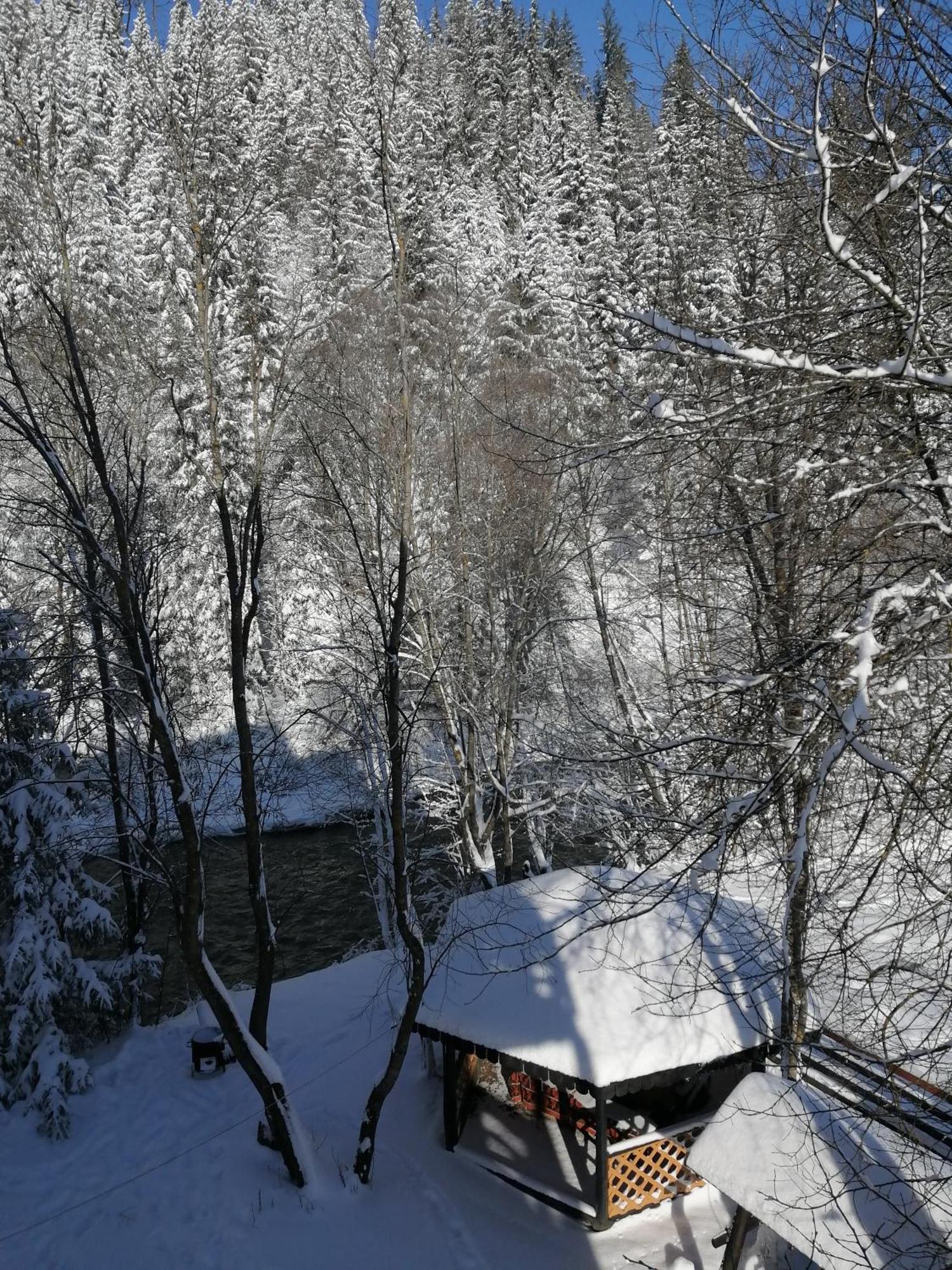 Pensiunea Tora Vatra Dornei Exteriör bild